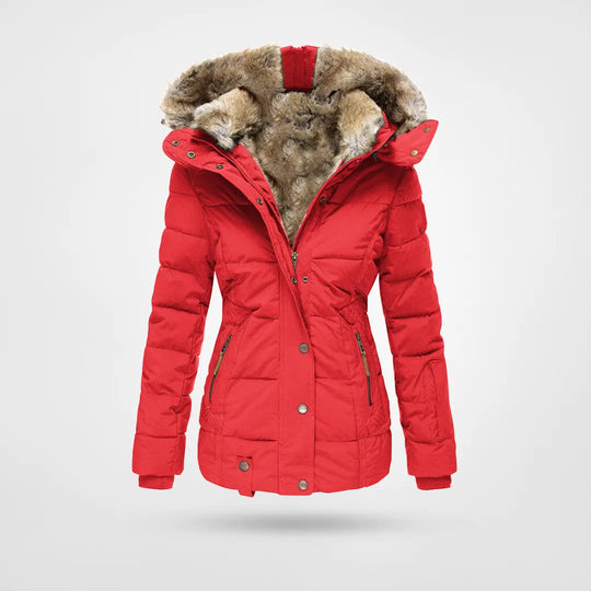 Ivyshape | Warm fashionable winter jacket with lining and hood